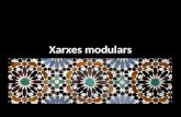 Xarxes modulars