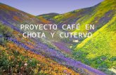 Proyecto café 2006 a junio 2012  cáritas chota