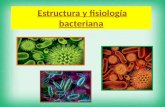 Estructura y fisiología bacteriana (1)