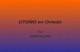 OtoñO En Oviedo2