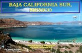 Baja California Sur Mexico