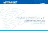 Guia lineamientos para las aplicaciones muestral y censal 3°5°9° 2013