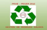 Socializacionprae – peger 2012
