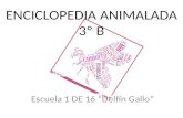 Enciclopedia animalada