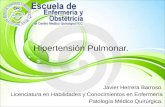 Hipertensión Pulmonar y Esclerosis Vascular