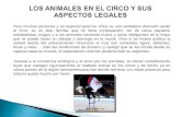 Los animals en el circo y sus aspectos legales