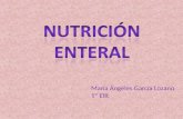 (2013-09-11)NUTRICION ENTERAL(PTT)