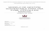 Modelo de gestión sustentable para una Pyme vitícola en marcha (ALVAREZ GEI, Santiago)