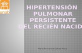 Hipertensión Pulmonar Persistente  en Recién Nacidos