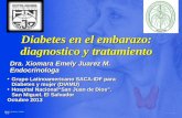 Diabetes en el embarazo. Dra. Emely Juarez: Actualización 2013