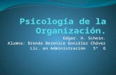 Psicología de la organización y psicología del mexicano en el trabajo
