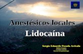 Lidocaína como anestésico local