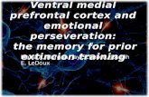 Zona ventromedial de la corteza prefontral