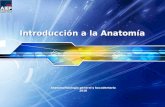 Afgb Ut1 01 IntroduccióN A La AnatomíA