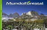 Revista Mundo Forestal Número 18