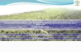 El rol ecológico de los bosques de manglar y los morichales en la Orinoquia - Valois Gonzalez