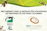 Primer Taller Gold Standard en Colombia- Presentación ejecutiva MVC Por: Roberto Gomez
