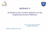 Módulo III. El Sistema de Control Interno en las Organizaciones Públicas