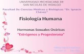Estrógenos y progesterona - Fisiología Humana