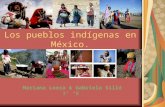 Los Pueblos IndíGenas En México