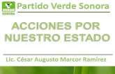 Acciones del Partido Verde Ecologista de México en Sonora