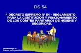 Ds 54 comite paritario