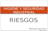 Higiene y Seguridad Industrial Riesgos 30668