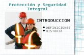Introducción Curso Protección y Seguridad Integral