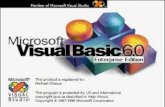 Manual de usuario para visual basic 6.0... sldo santelices