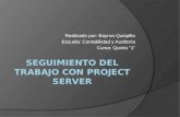 Seguimiento del trabajo con project server