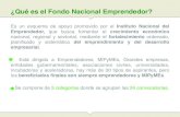 FONDO NACIONAL DEL EMPRENDEDOR 2014