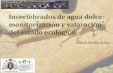 Invertebrados agua dulce monitorización y estado ecológico