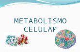 Metabolismo celular 01. maa
