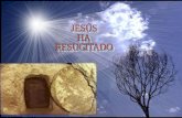 La Pascua De JesúS La Construyes Tu En El Mundo