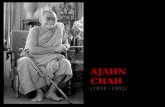 El monje budista ajahn chah, sus enseñanzas