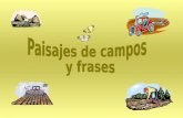 PresentacióN Paisajes Y Campos