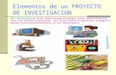 PROYECTO DE INVESTIGACION ELEMENTOS