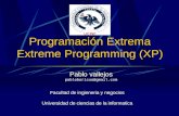Seminario MetodologíAs áGiles Y Xp, Tema 3   Extreme Programming