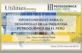 III Conferencia Petroquímica Perú 2013