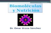 Biomoléculas y nutrición