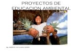Proyectos de educacion ambiental  9