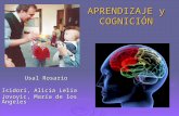 Aprendizaje y cognición