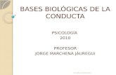 Capitulo Ii  Bases Biologicas De La Conducta