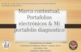 Marco contextual, portafolios electrónicos y mi portafolio de diagnostico