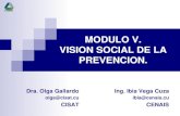 Vision social prevencion desastres