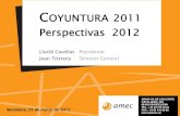 Presentacion Informe amec de Coyuntura 2011 y Perspectivas 2012