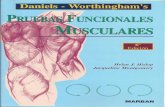 Pruebas Funcionales Musculares  Daniels 6a Edicion