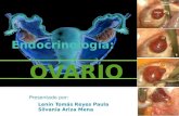 Endocrinología   ovario