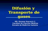 Difusion y transporte_de_gases
