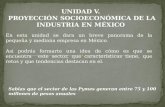 Proyección socioeconómica de la industria en México